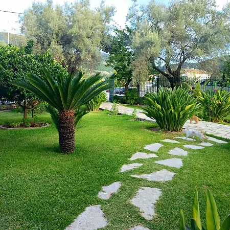 Niriton Brand New * Nydri (Lefkada)