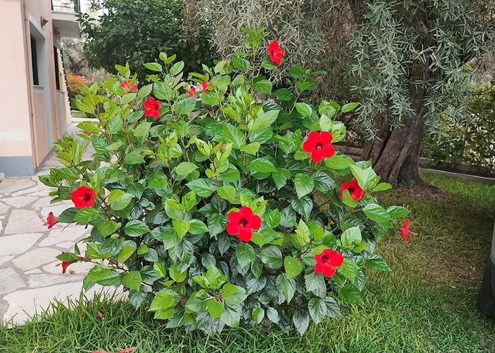 Niriton Brand New Nydri (Lefkada)