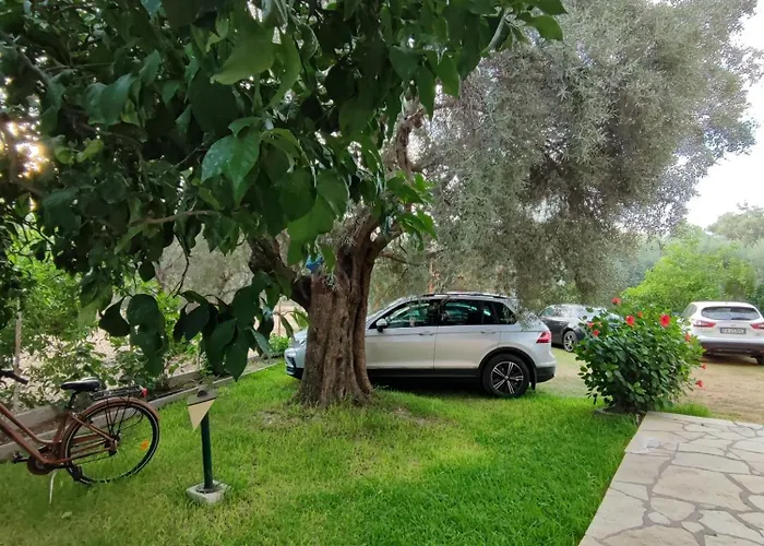 Niriton Brand New נידרי